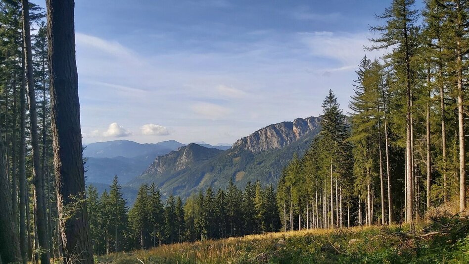 Hiking Route Gerler Round from the Nechnitz - Touren-Impression #2.13 | © Oststeiermark Tourismus