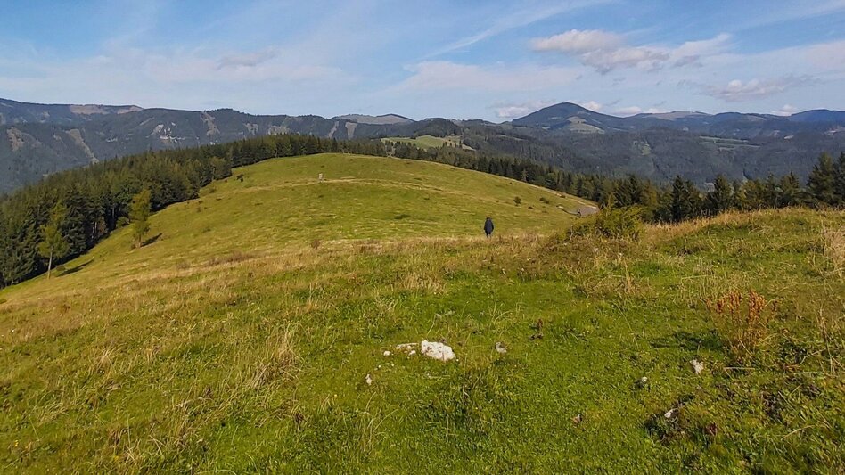 Hiking Route Gerler Round from the Nechnitz - Touren-Impression #2.10 | © Oststeiermark Tourismus