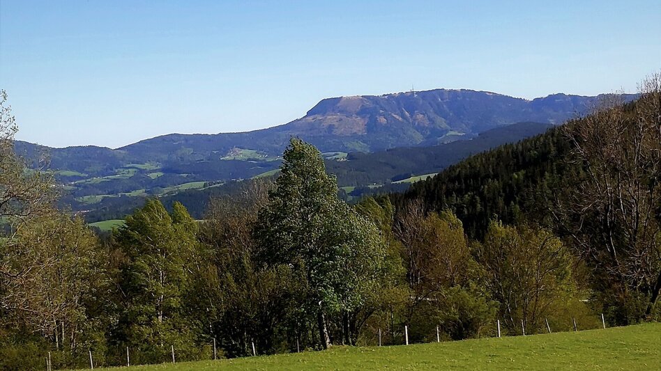 Hiking Route Gerler Round from the Nechnitz - Touren-Impression #2.20 | © Oststeiermark Tourismus