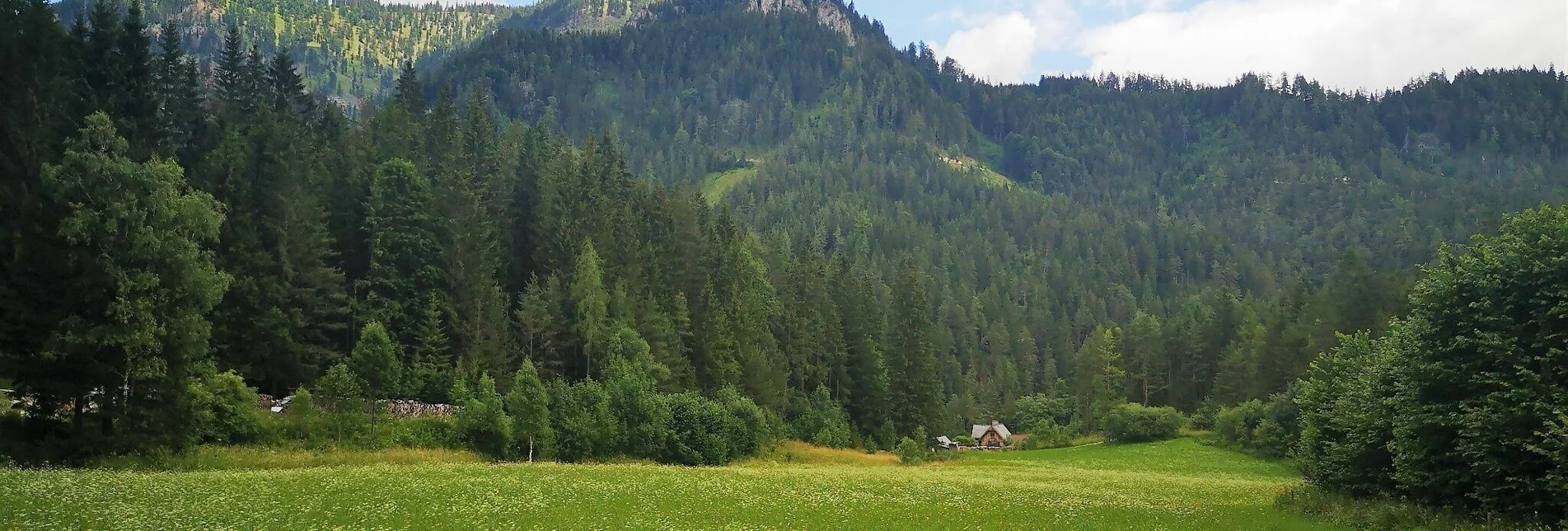 Hiking route Von Mürzsteg zur Kleinveitschalm im Naturpark Mürzer Oberland - Touren-Impression #1 | © TV Hochsteiermark