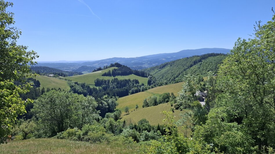 Wanderung Turnersteig (545) - Touren-Impression #2.1 | © Region Graz