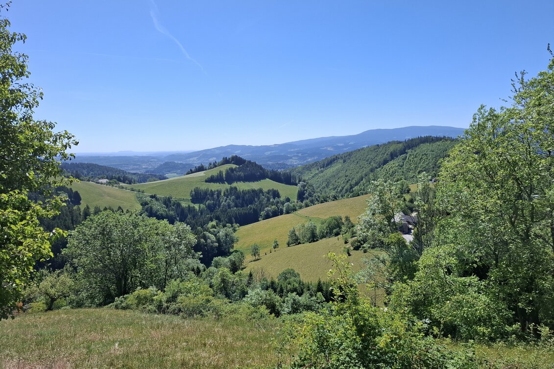Wanderung Turnersteig (545) - Touren-Impression #1 | © Region Graz