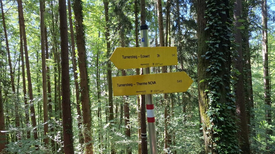 Wanderung Turnersteig (545) - Touren-Impression #2.6 | © Region Graz