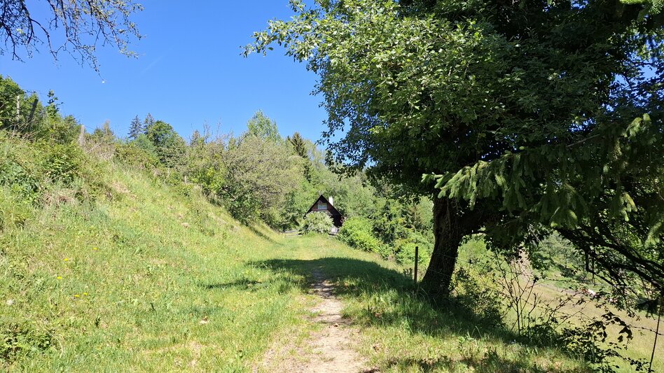 Wanderung Turnersteig (545) - Touren-Impression #2.8 | © Region Graz