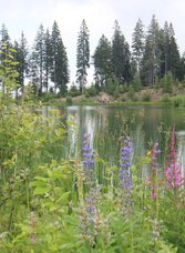 Hebalmsee | © Region Graz | Heinz Kaltschmidt | © Region Graz