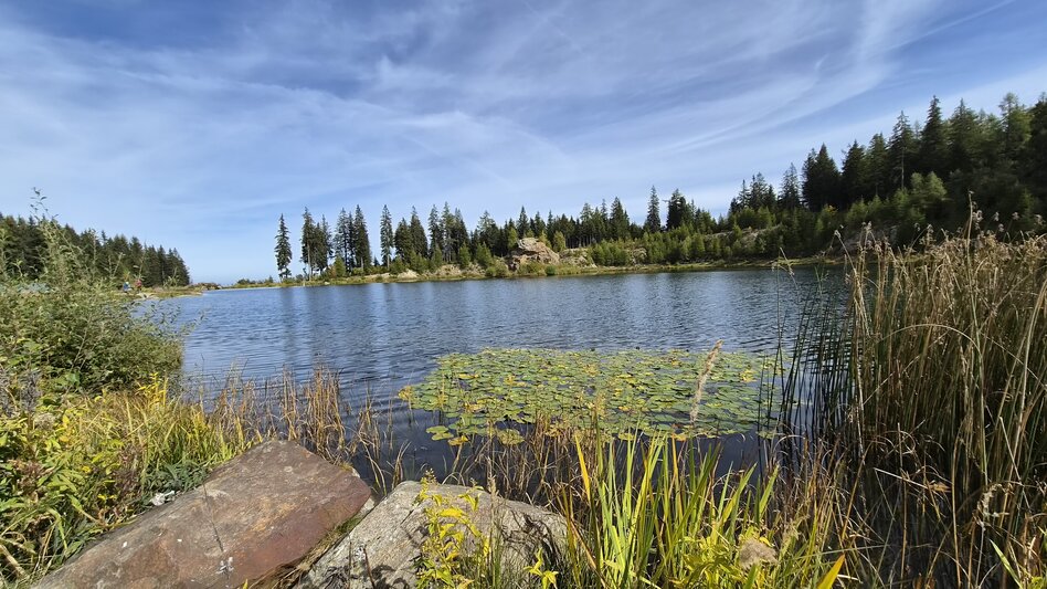 Wanderung Hebalm Kapellenrunde - Touren-Impression #2.2 | © Region Graz