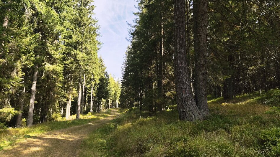 Wanderung Hebalm Kapellenrunde - Touren-Impression #2.3 | © Region Graz