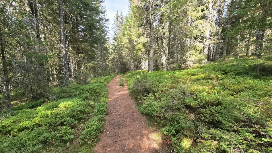 Wanderung Hebalm Kapellenrunde - Touren-Impression #2.9 | © Region Graz