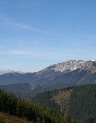 Blick vom Hocheck zum Veitsch-Massiv | Maria Steindl | © TV Hochsteiermark