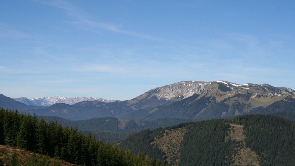 Wanderung Wanderung Kalch - Hofalm - Hocheck - Schwarzenegger - Touren-Impression #2.1 | © TV Hochsteiermark