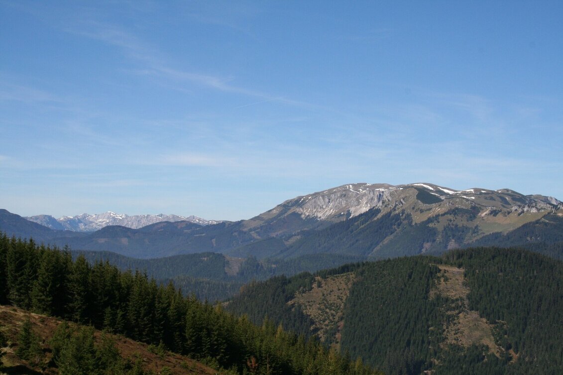 Wanderung Wanderung Kalch - Hofalm - Hocheck - Schwarzenegger - Touren-Impression #1 | © TV Hochsteiermark