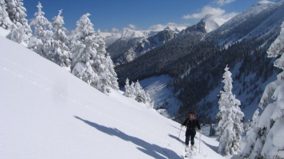 Schneeschuhwandern Schneeschuhwanderparadies Hinteralm - Touren-Impression #2.1 | © Naturpark Mürzer Oberland