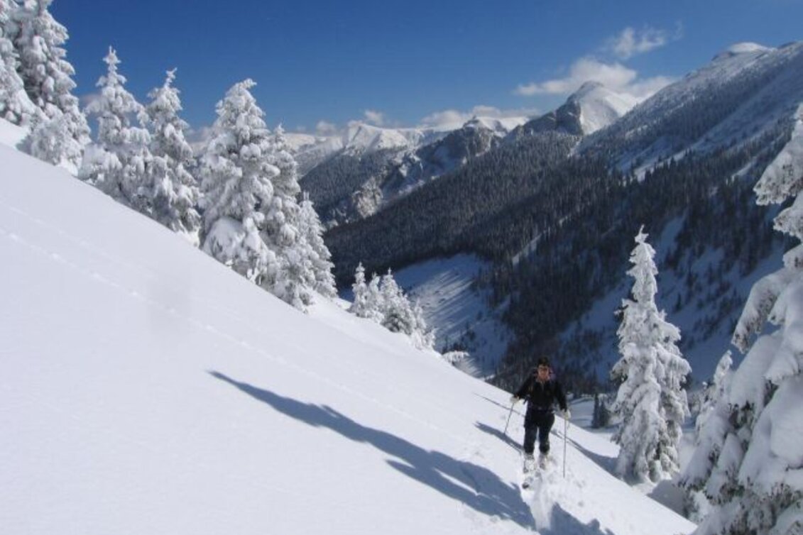 Schneeschuhwandern Schneeschuhwanderparadies Hinteralm - Touren-Impression #1 | © Naturpark Mürzer Oberland