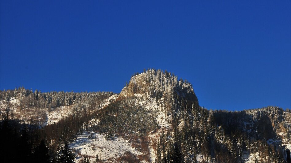 Schneeschuhwandern Schneeschuhwanderparadies Hinteralm - Touren-Impression #2.2 | © TV Hochsteiermark