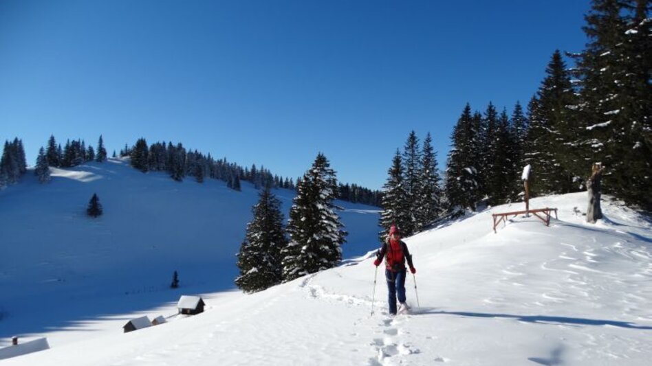 Snowshoe Walking Mit Schneeschuhen am Mariazellerweg - Touren-Impression #2.1 | © Naturpark Mürzer Oberland