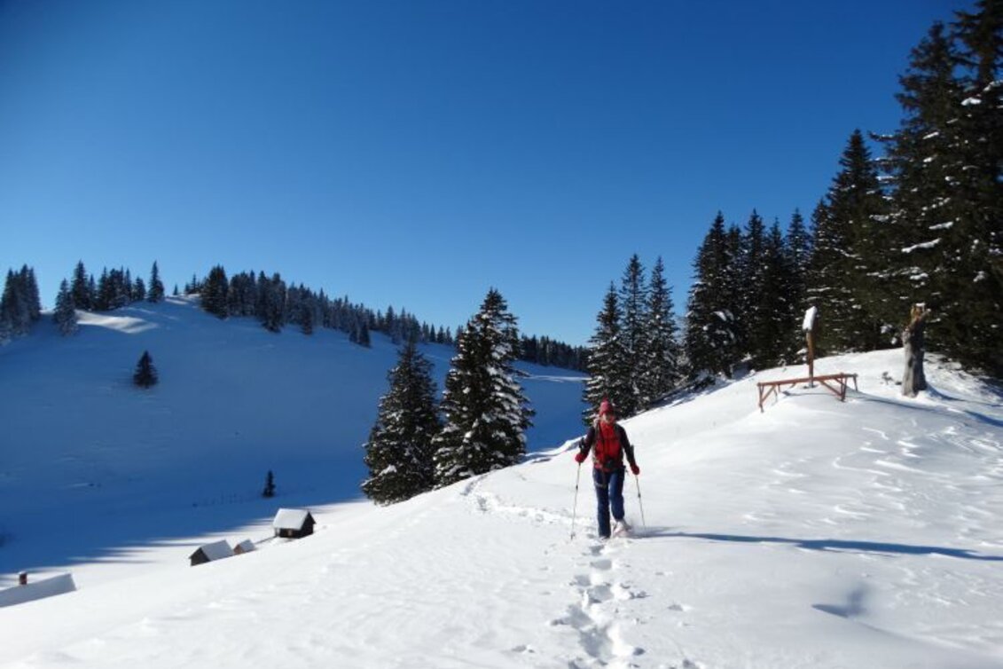 Snowshoe Walking Mit Schneeschuhen am Mariazellerweg - Touren-Impression #1 | © Naturpark Mürzer Oberland