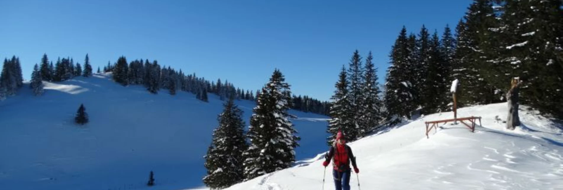 Snowshoe walking Mit Schneeschuhen am Mariazellerweg - Touren-Impression #1 | © Naturpark Mürzer Oberland