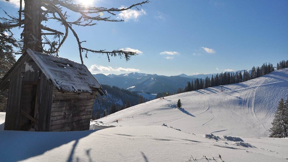 Snowshoe Walking Mit Schneeschuhen am Mariazellerweg - Touren-Impression #2.2 | © TV Hochsteiermark