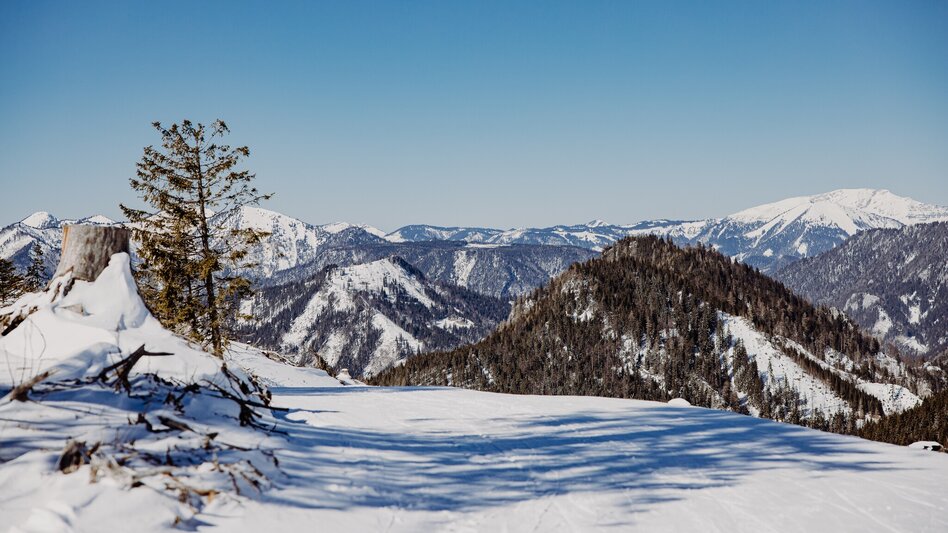 Snowshoe Walking Mit Schneeschuhen am Mariazellerweg - Touren-Impression #2.3 | © TV Hochsteiermark