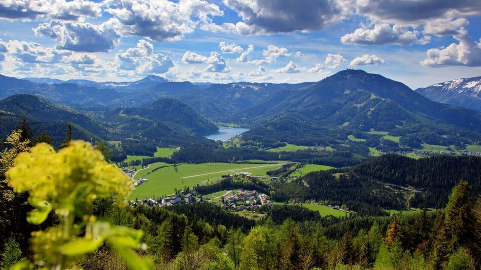 Mountainbike Bürgeralpe - Runde - Touren-Impression #2.7 | © TV Hochsteiermark