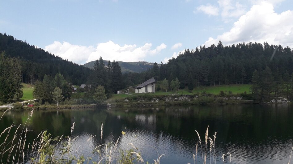 Mountainbike Hubertussee - Runde - Touren-Impression #2.10 | © TV Hochsteiermark