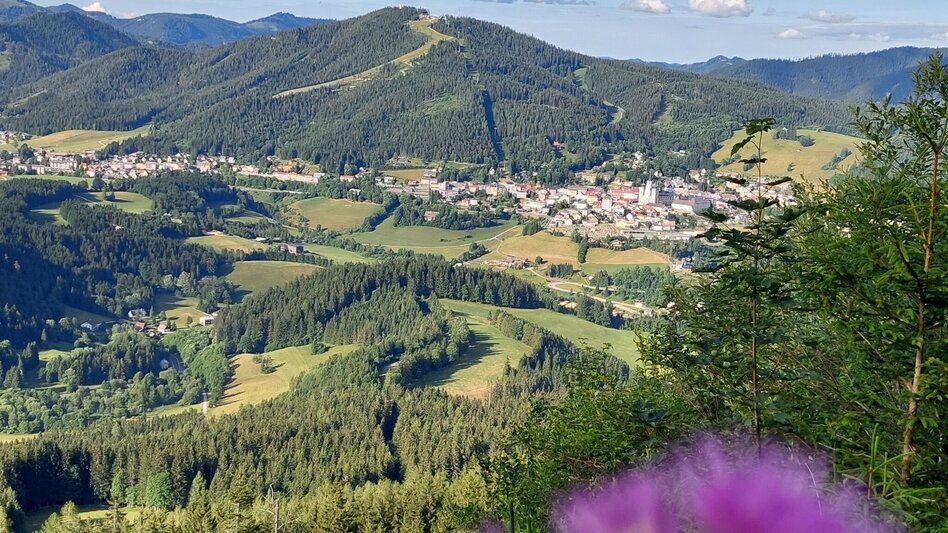 Mountainbike Tribein - Runde - Touren-Impression #2.7 | © TV Hochsteiermark