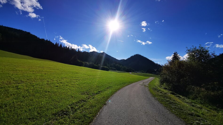 Mountainbike Tribein - Runde - Touren-Impression #2.1 | © TV Hochsteiermark