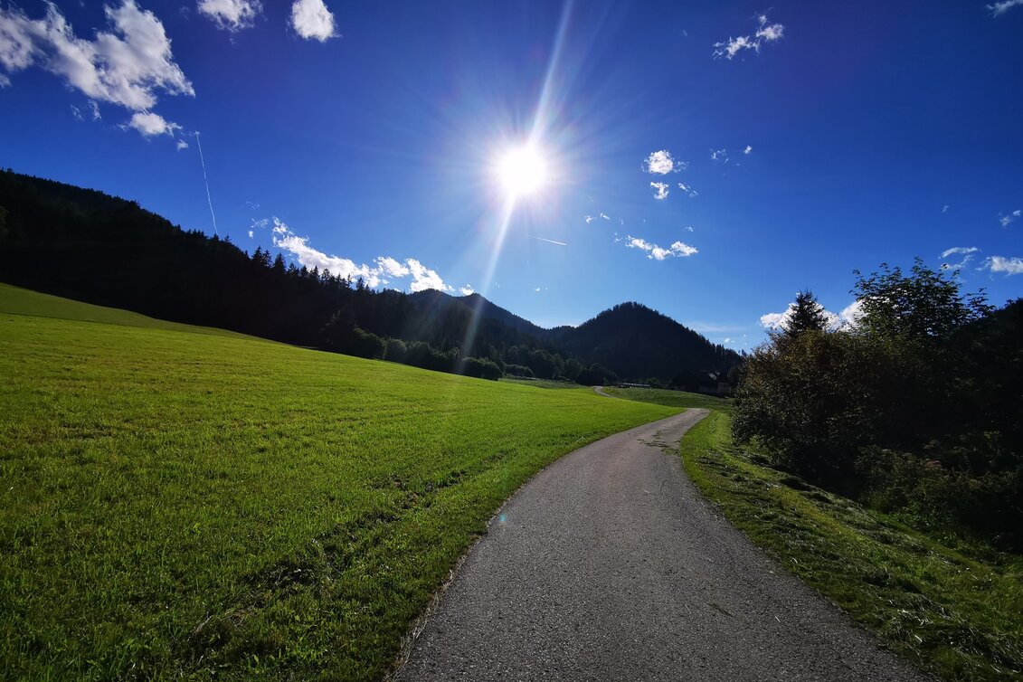 Mountainbike Tribein - Runde - Touren-Impression #1 | © TV Hochsteiermark