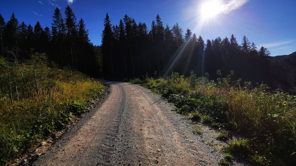 Mountainbike Tribein - Runde - Touren-Impression #2.2 | © TV Hochsteiermark