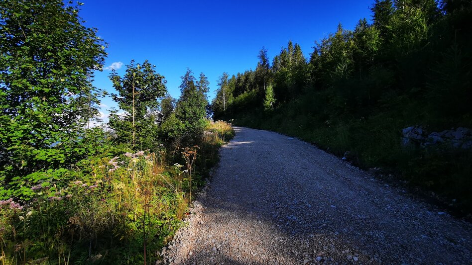 Mountainbike Tribein - Runde - Touren-Impression #2.4 | © TV Hochsteiermark