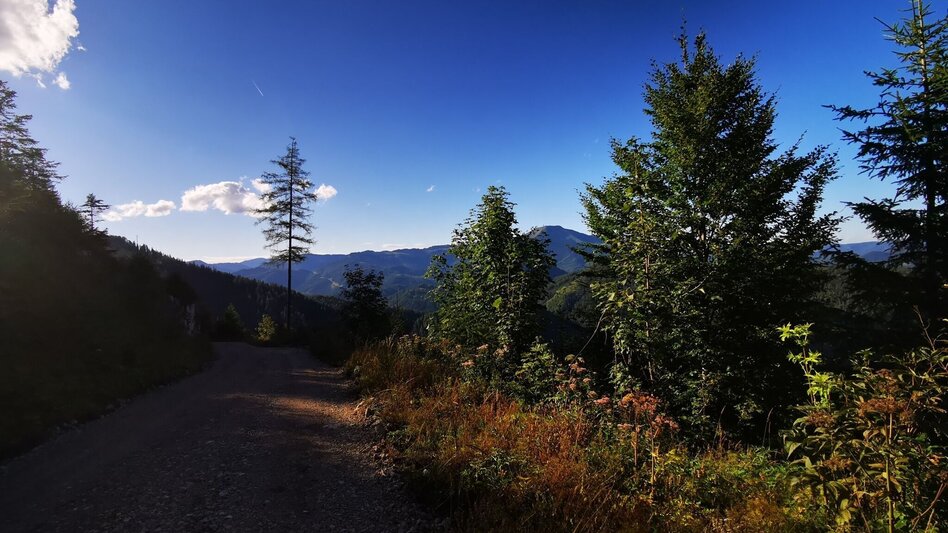 Mountainbike Tribein - Runde - Touren-Impression #2.5 | © TV Hochsteiermark