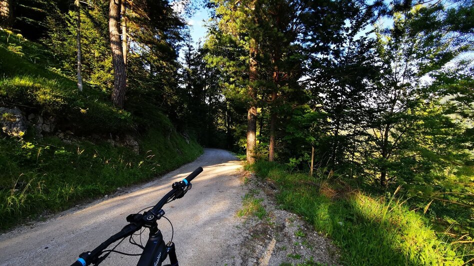 Mountainbike Tribein - Runde - Touren-Impression #2.6 | © TV Hochsteiermark