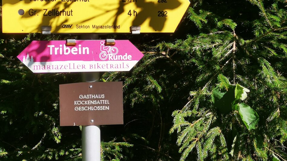 Mountainbike Tribein - Runde - Touren-Impression #2.8 | © TV Hochsteiermark