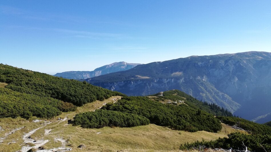 Wanderung Über den Ameisbühel auf die Schneealm im Naturpark Mürzer Oberland - Touren-Impression #2.4 | © Naturpark Mürzer Oberland