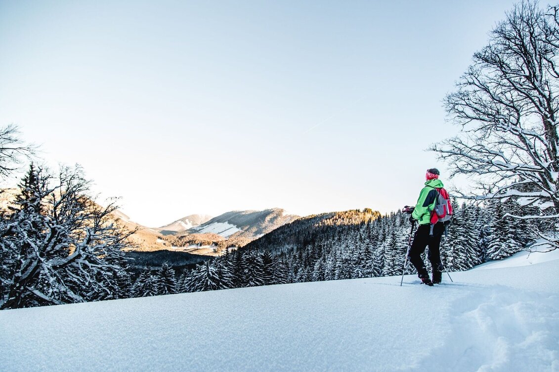 Snowshoe Walking Auf Schneeschuhen zum Nikolokreuz - Touren-Impression #1 | © TV Hochsteiermark