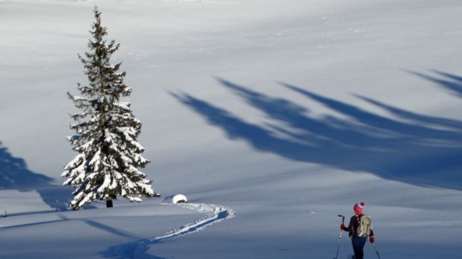 Snowshoe Walking Schneeschuhtour Brachkogel - Ochsenboden - Touren-Impression #2.1 | © Naturpark Mürzer Oberland