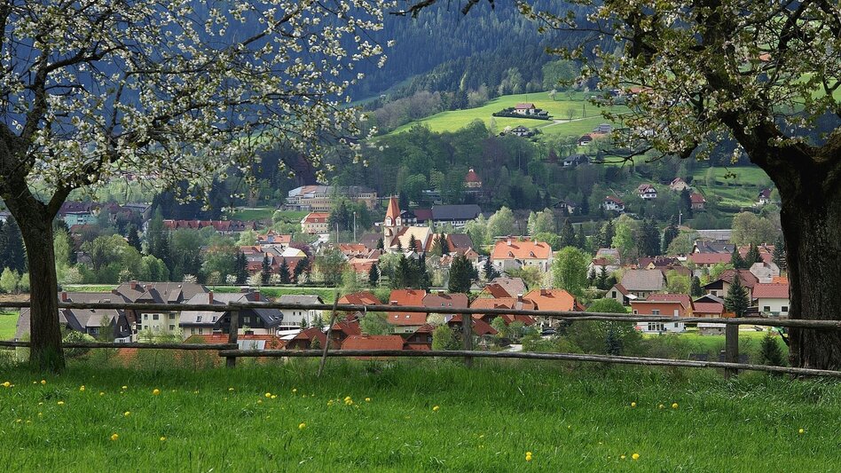 Wanderung Peter Rosegger Gedenkstättenweg - Variante Annenruhe - Touren-Impression #2.3 | © TV Hochsteiermark