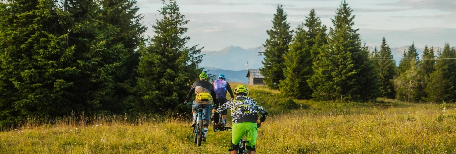 Mountainbike Grebenzen Höhentrail - Touren-Impression #1 | © Tourismusverband Region Murau