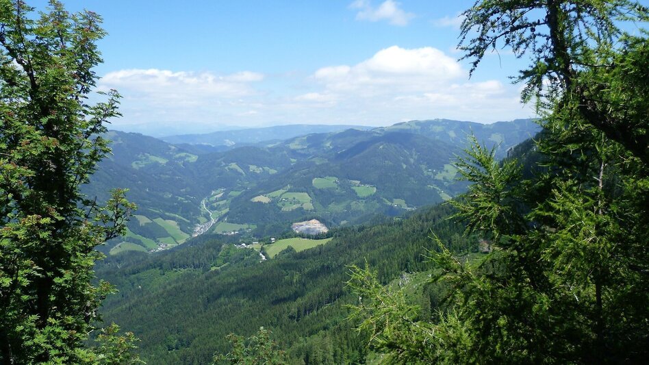 Hiking Route Schüsserlbrunn from the Teichalm - Touren-Impression #2.6 | © Oststeiermark Tourismus