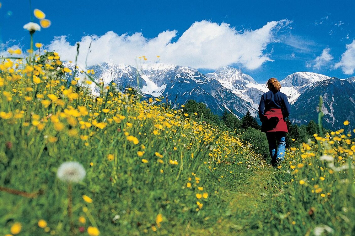Wanderung "Auf den Spuren der Bergknappen" - von Untertal-Dorf ins Obertal - Touren-Impression #1 | © Reinhard Lamm