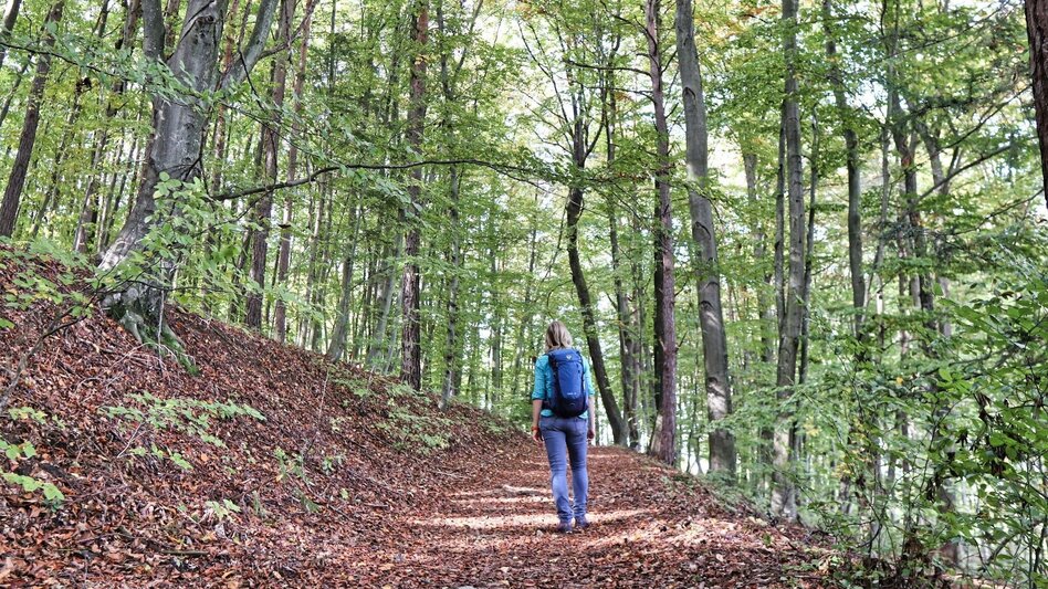 Hiking Route Stick & Stone (Stock & Stein) - short variant "Wine Experience Trail" - Touren-Impression #2.4 | © Thermen- & Vulkanland