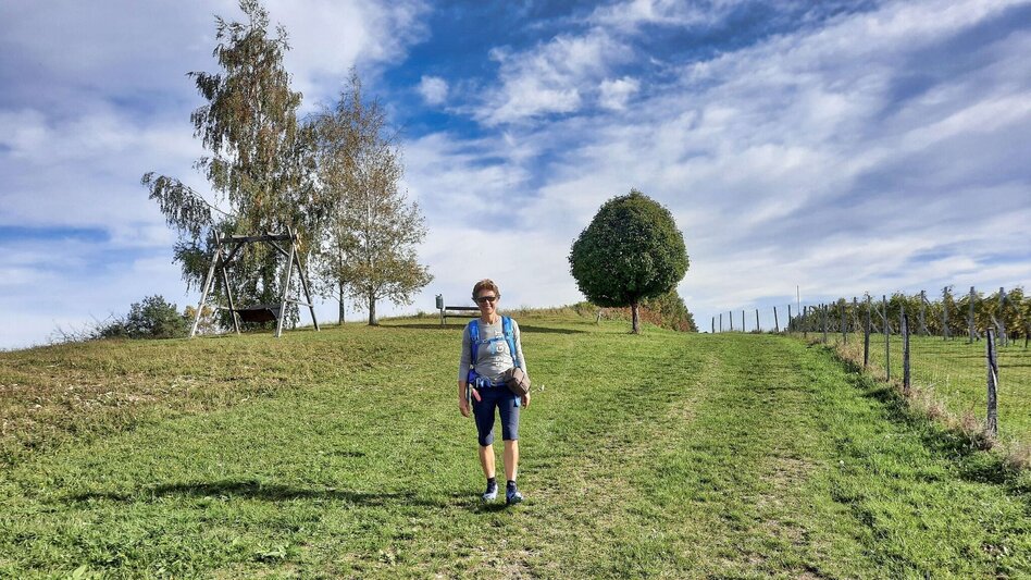 Hiking Route Stick & Stone (Stock & Stein) - short variant "Wine Experience Trail" - Touren-Impression #2.6 | © Thermen- & Vulkanland
