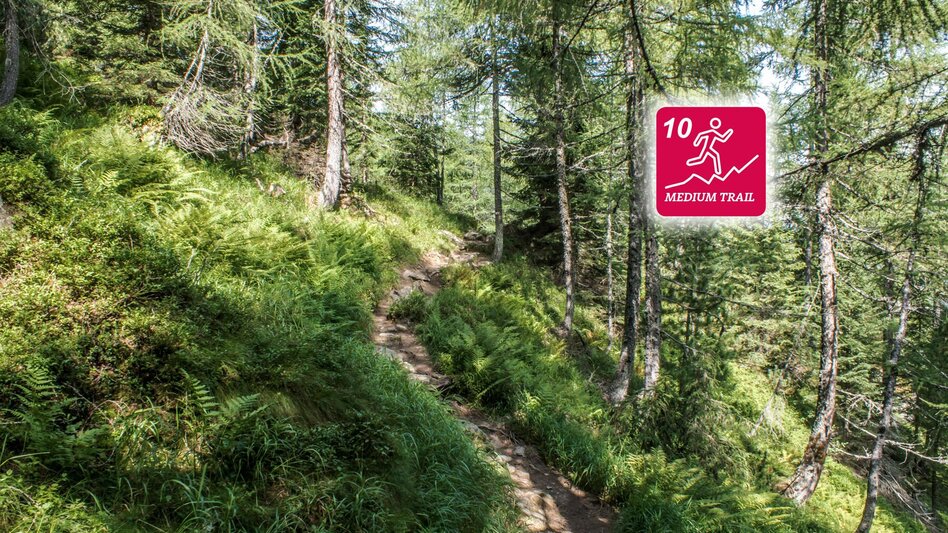 Trail Running Neualm Trail - Touren-Impression #2.3 | © Erlebnisregion Schladming-Dachstein