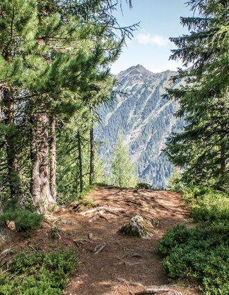 Lookout to Obertal valley along the trail to Duisitzkar lake | Gerhard Pilz | © Tourismusverband Schladming