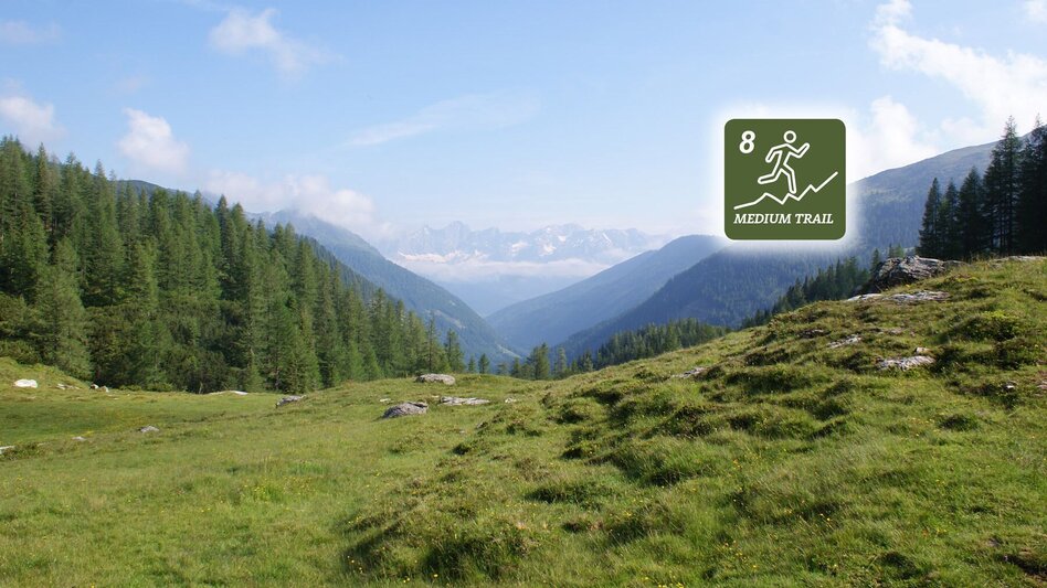 Trail Running Laubschachen Trail - Touren-Impression #2.7 | © Erlebnisregion Schladming-Dachstein