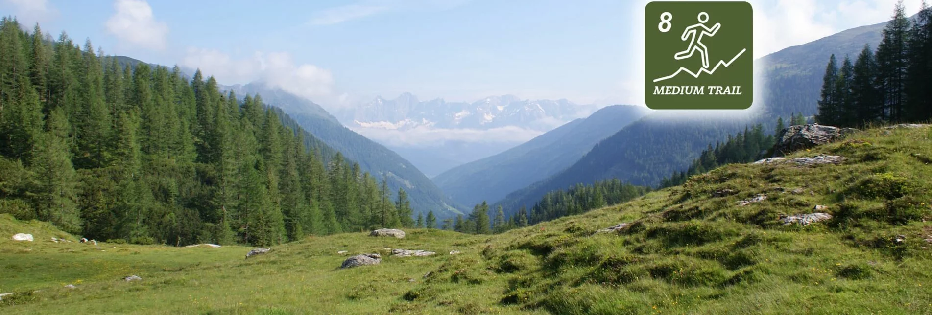 Trailrunning Laubschachen Trail - Touren-Impression #1 | © Erlebnisregion Schladming-Dachstein
