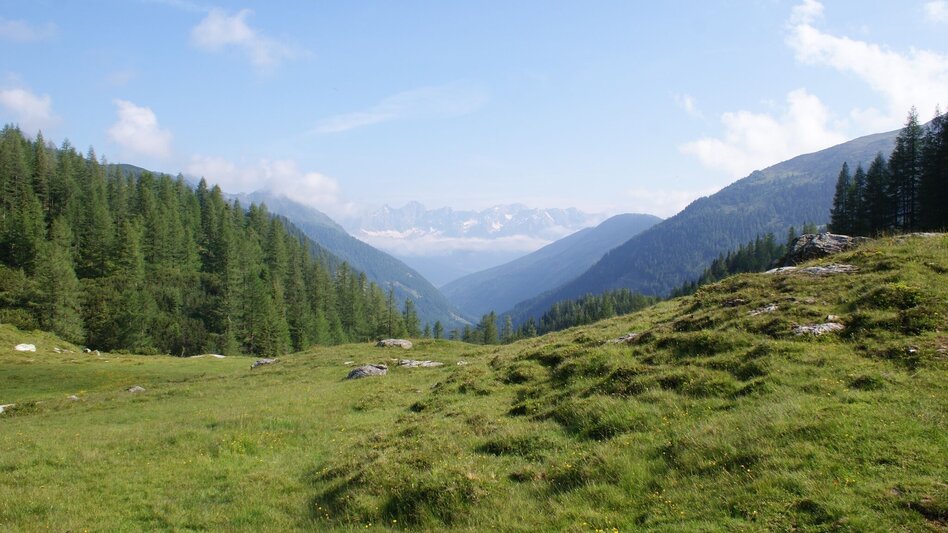 Trail Running Laubschachen Trail - Touren-Impression #2.1 | © Gerhard Pilz