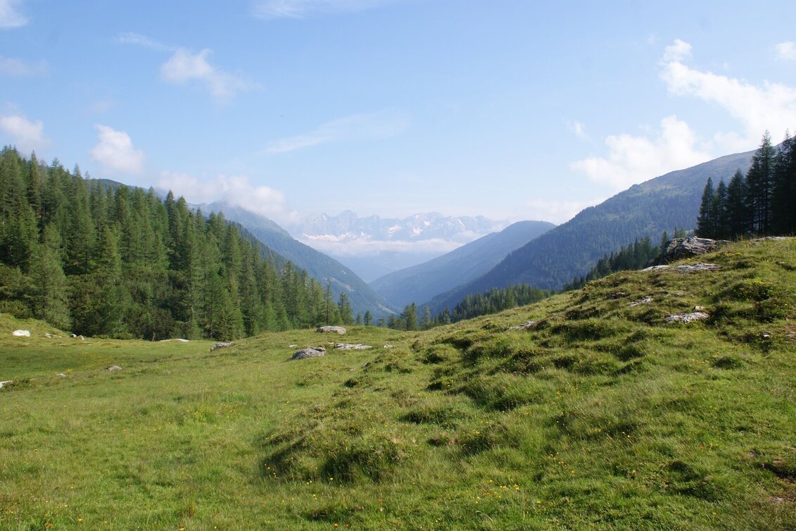 Trail Running Laubschachen Trail - Touren-Impression #1 | © Gerhard Pilz