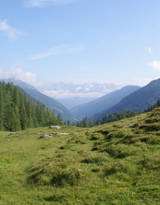 Panoramic view from Ursprungalm to Dachstein through the Preuneggtal valley | Gerhard Pilz | © Gerhard Pilz