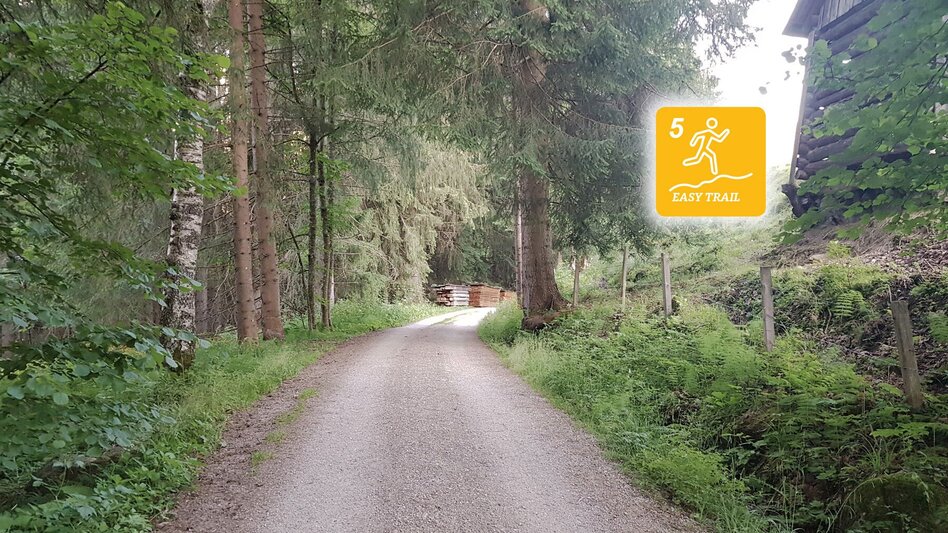 Trailrunning Rohrmoos Laufrunde - Touren-Impression #2.6 | © Erlebnisregion Schladming-Dachstein